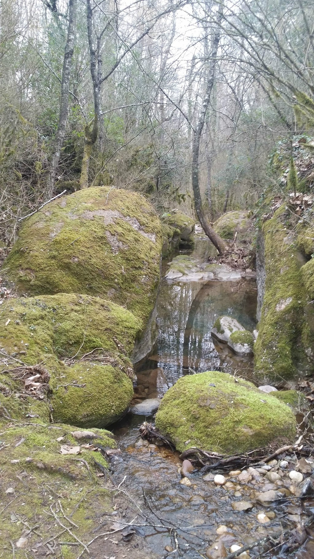 Som Rurals - SR-103 | Garrotxa