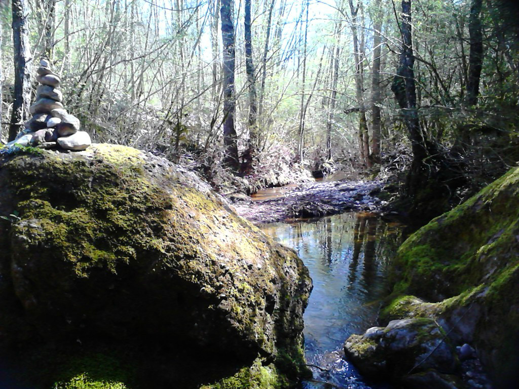 Som Rurals - SR-103 | Garrotxa