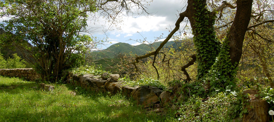 Som Rurals - SR-130 | Ripollès