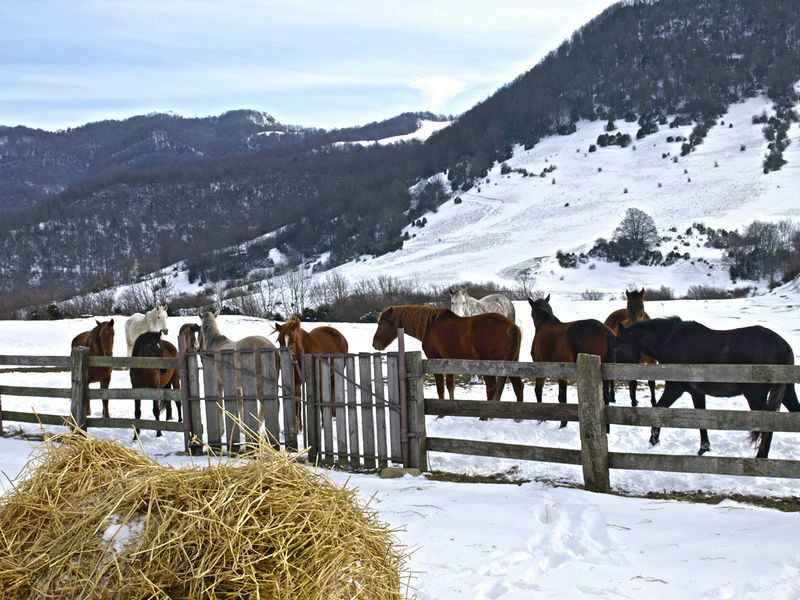 Som Rurals - SR-133 | Garrotxa