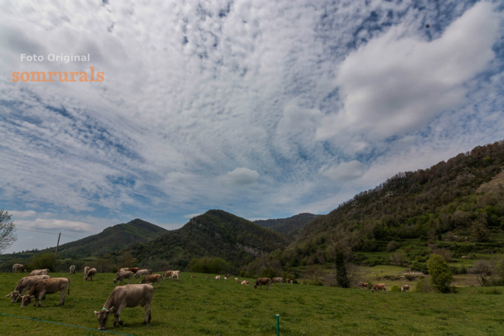 Som Rurals - SR-133 | Garrotxa
