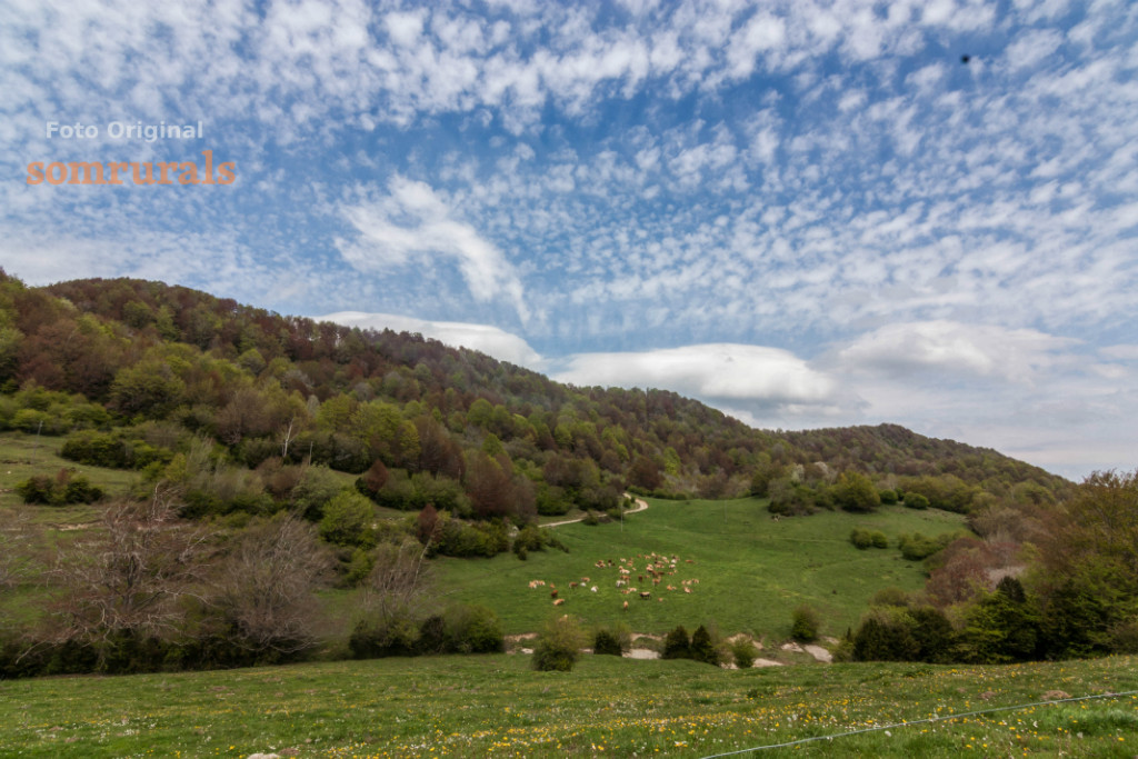 Som Rurals - SR-133 | Garrotxa