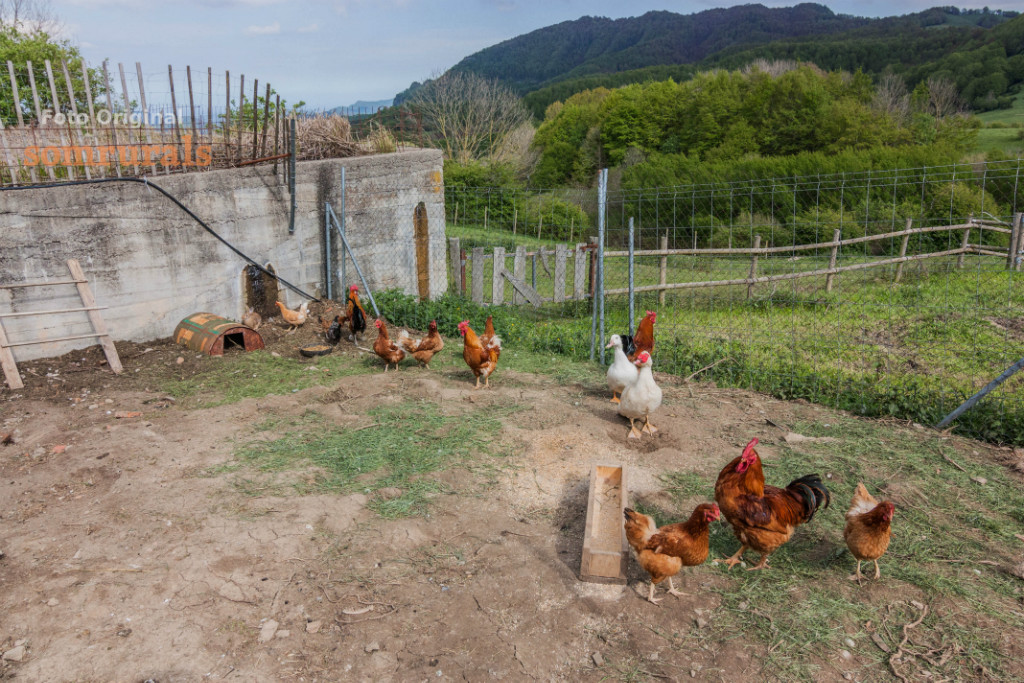 Som Rurals - SR-133 | Garrotxa