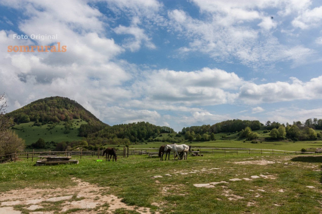 Som Rurals - SR-133 | Garrotxa
