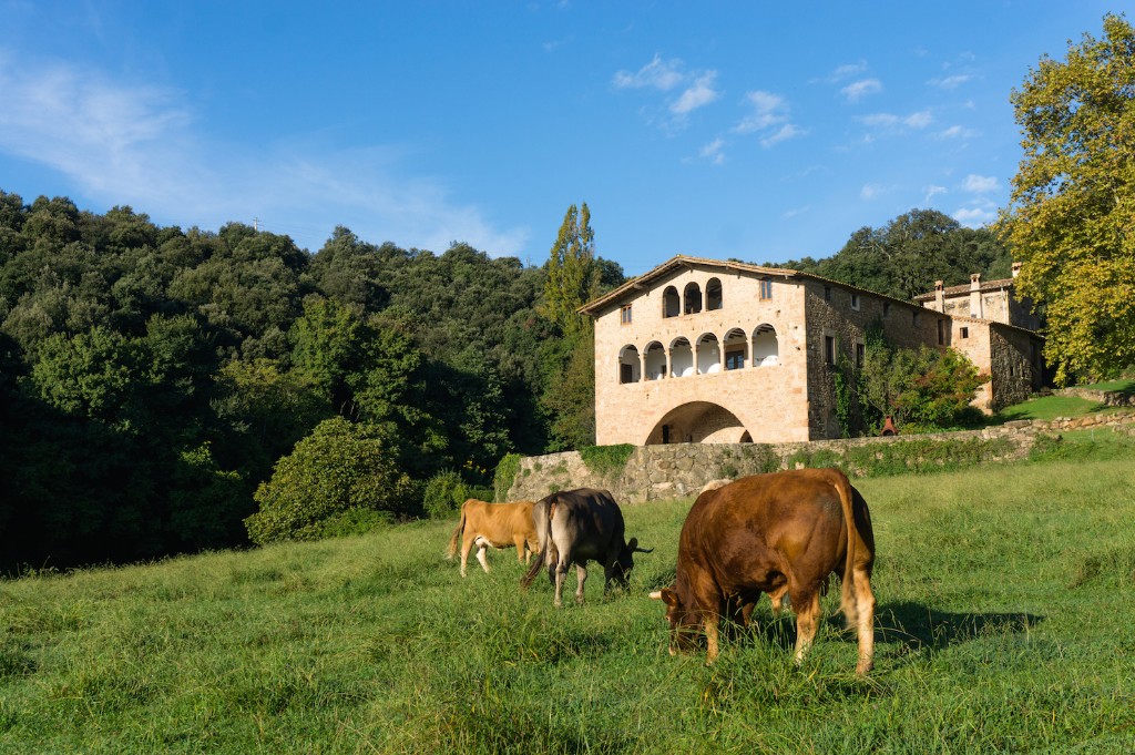 Som Rurals - SR-157 | Garrotxa