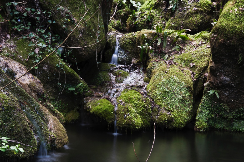 Som Rurals - SR-157 | Garrotxa