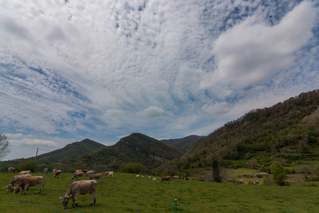 Som Rurals - SR-158 | Garrotxa