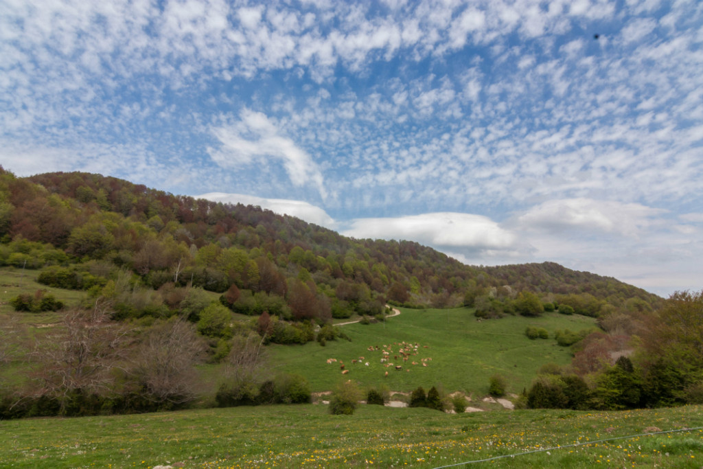 Som Rurals - SR-158 | Garrotxa