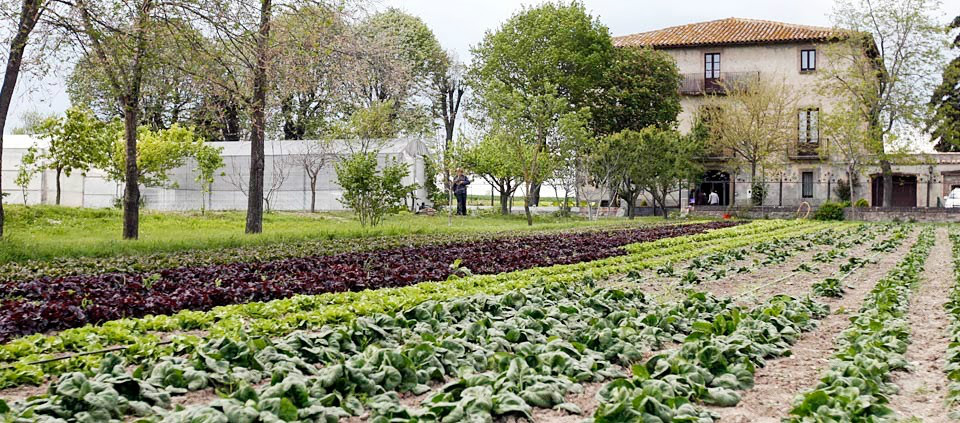 Som Rurals - SR-162 | Osona