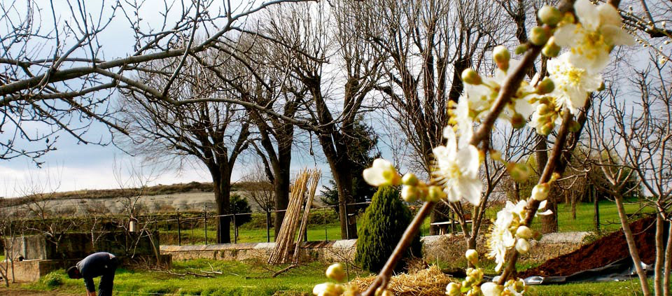 Som Rurals - SR-162 | Osona