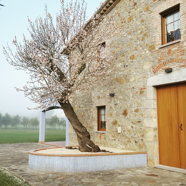 Som Rurals - SR-187 | Gironès