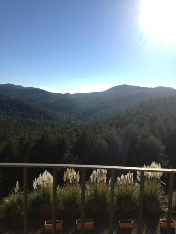 Som Rurals - SR-194 | Berguedà
