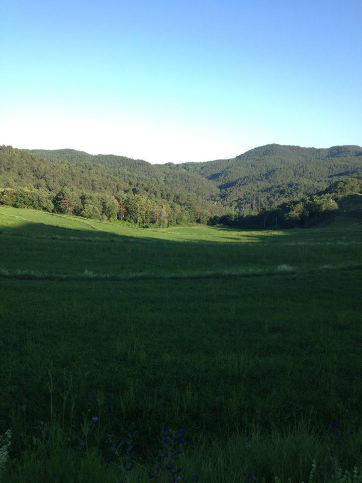 Som Rurals - SR-194 | Berguedà