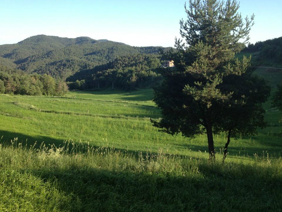 Som Rurals - SR-194 | Berguedà