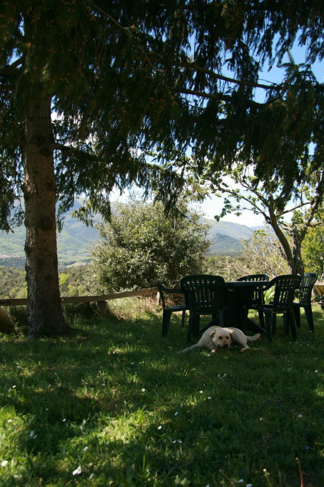 Som Rurals - SR-206 | Garrotxa