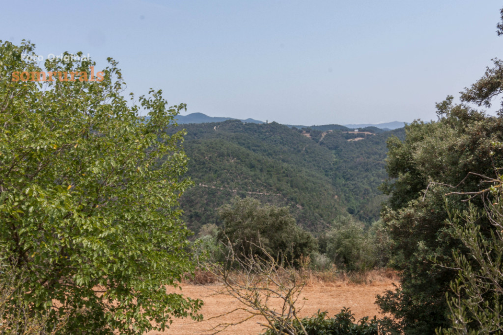 Som Rurals - SR-290 | Baix Empordà