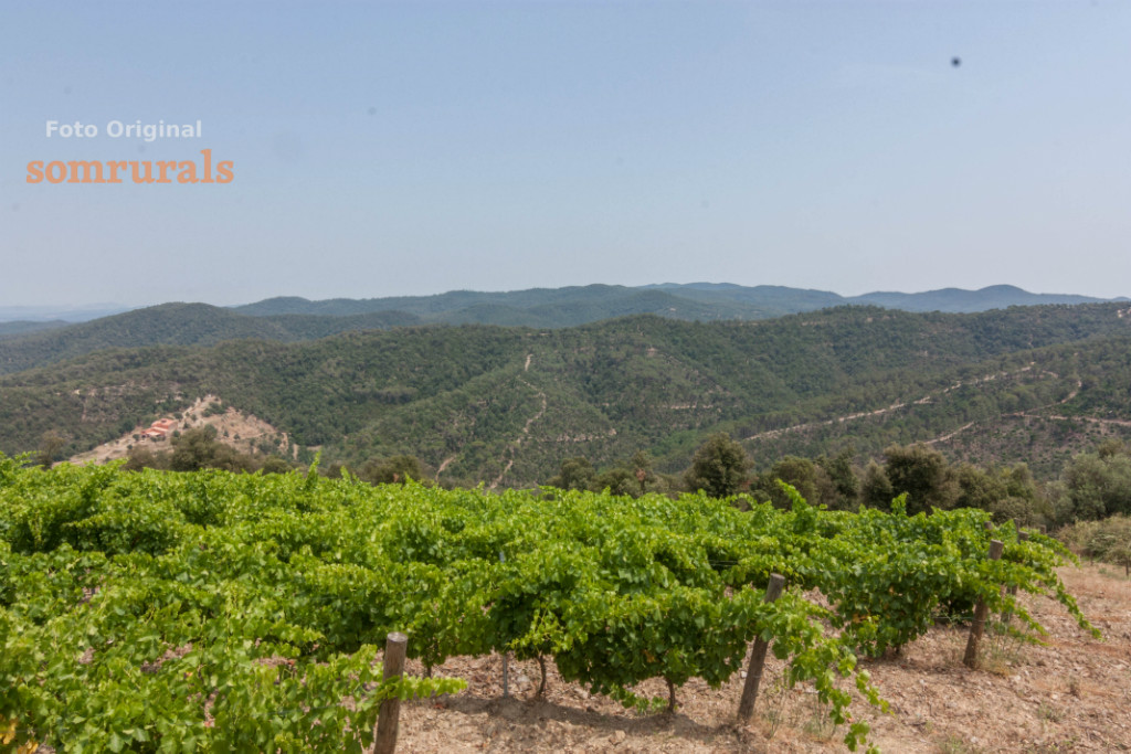 Som Rurals - SR-290 | Baix Empordà