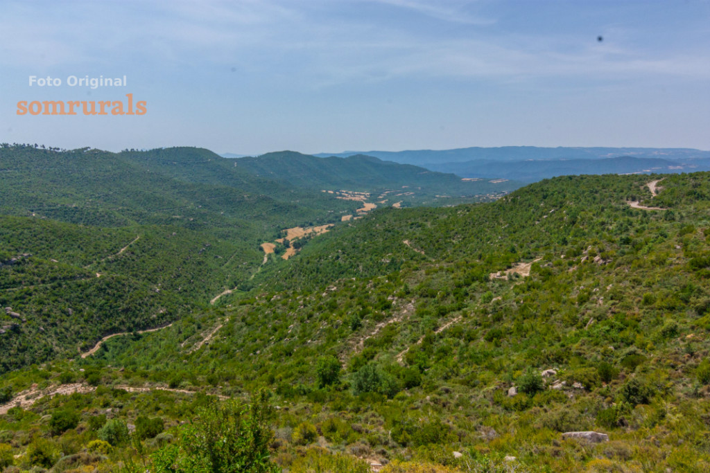 Som Rurals - SR-339 | Berguedà