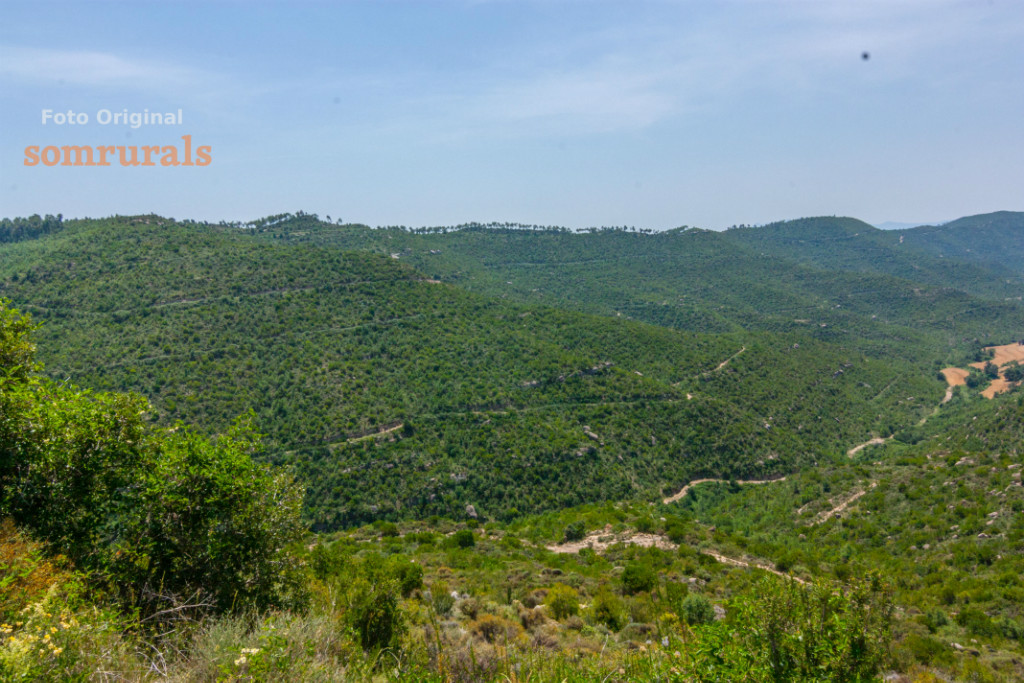 Som Rurals - SR-339 | Berguedà
