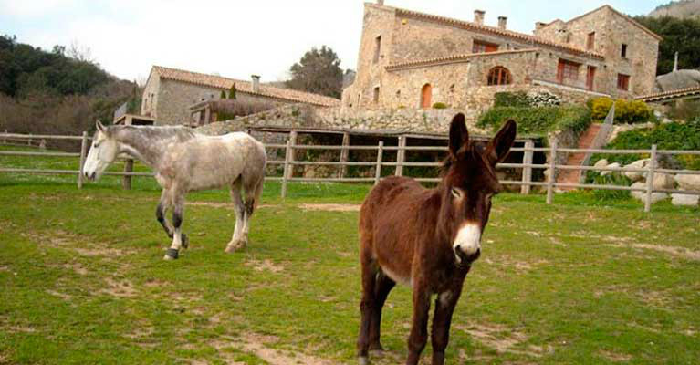 Som Rurals - SR-340 | Alt Empordà