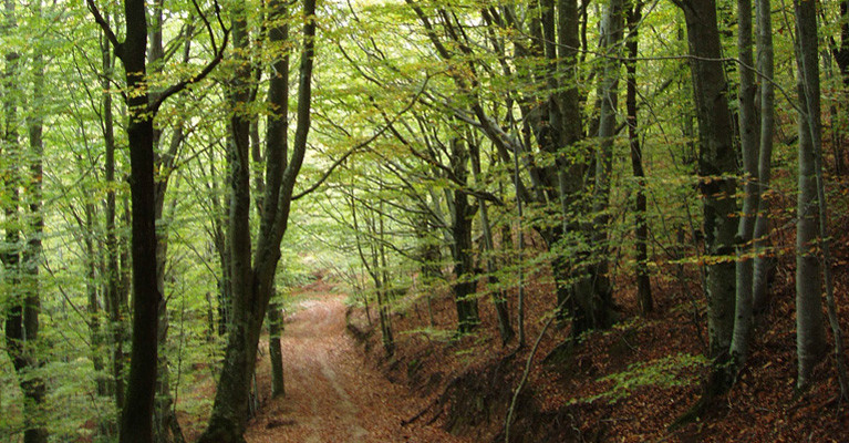Som Rurals - SR-340 | Alt Empordà
