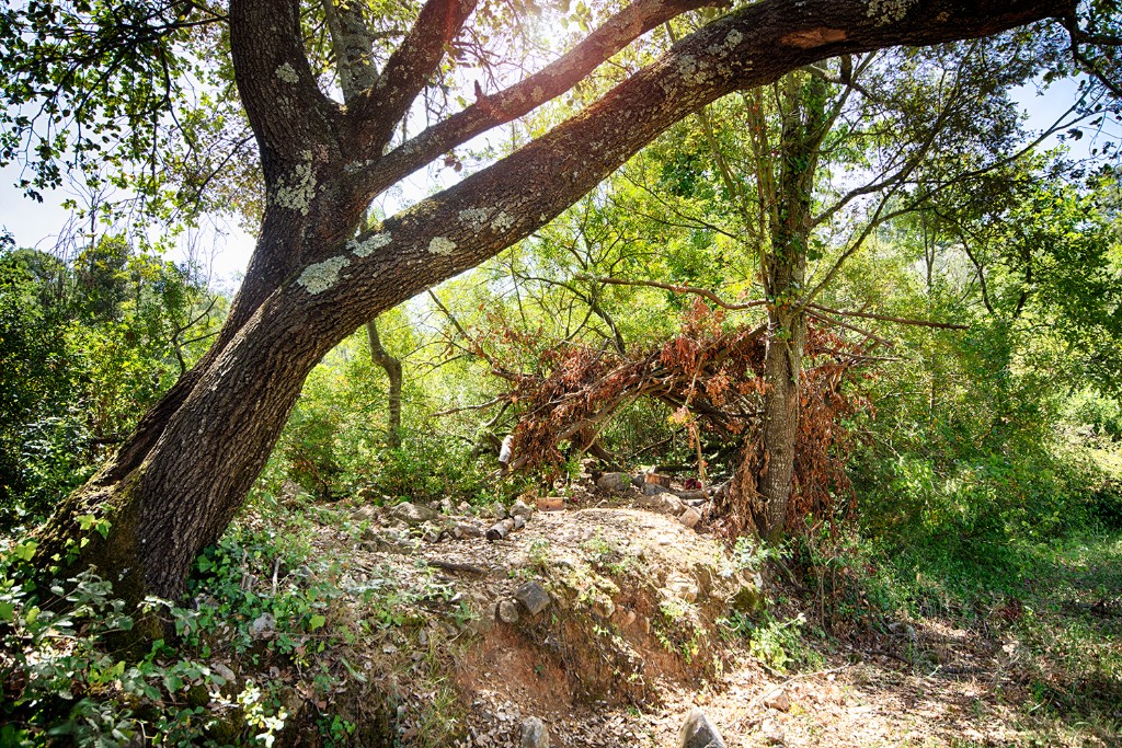 Som Rurals - SR-359 | La Garrotxa