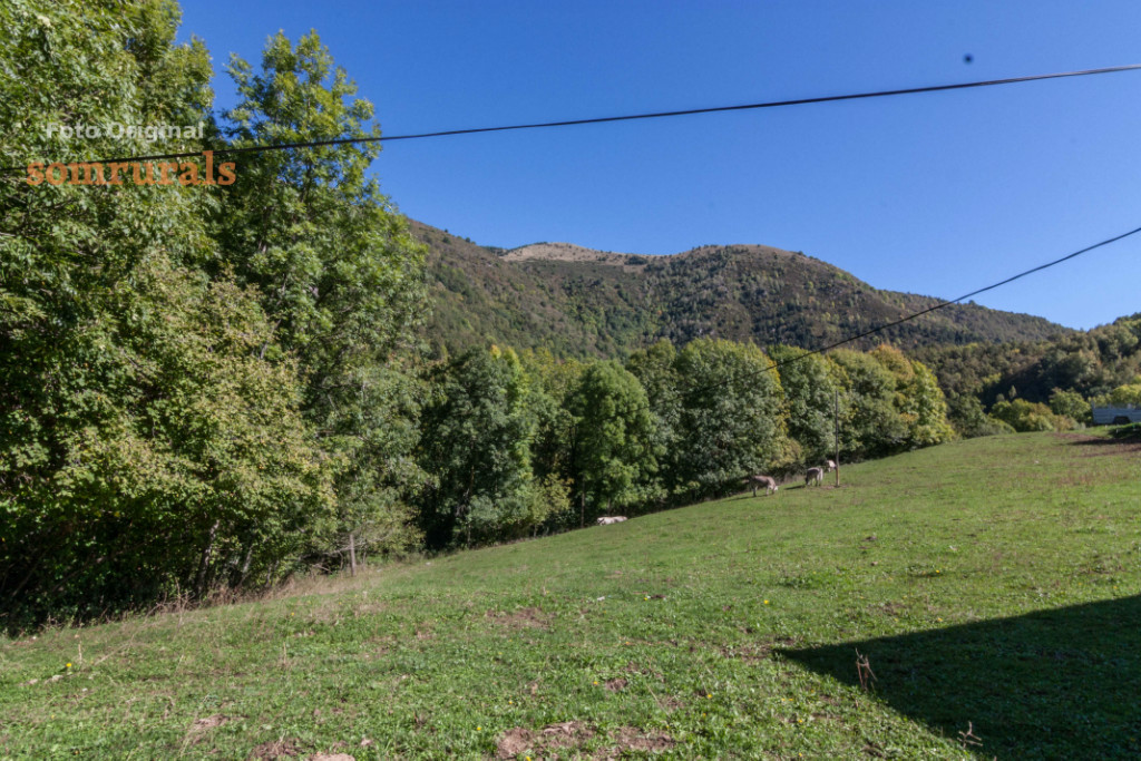 Som Rurals - SR-369 | Ripolles