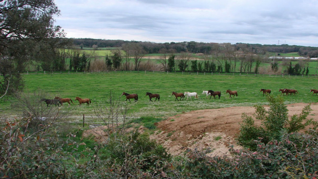Som Rurals - SR-373 | Gironès