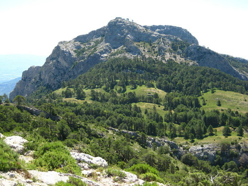 Som Rurals - SR-376 | Baix Ebre