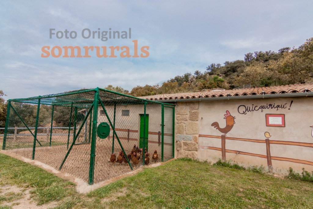 Som Rurals - SR-383 | Segarra