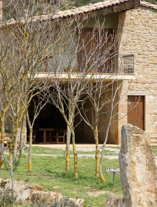 Som Rurals - SR-390 | Segarra