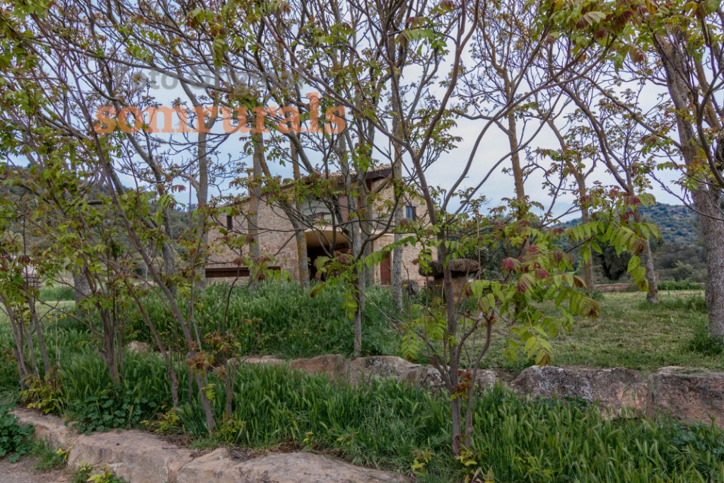Som Rurals - SR-390 | Segarra