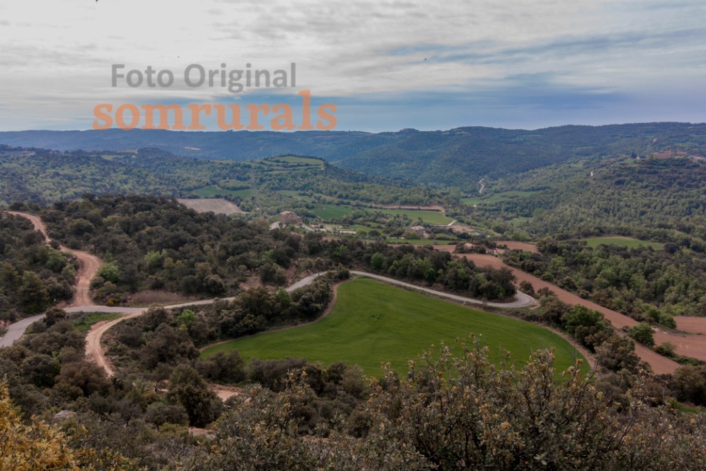 Som Rurals - SR-392 | Segarra