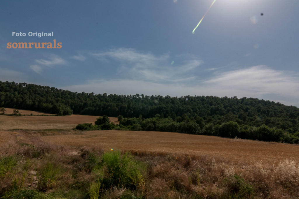Som Rurals - SR-402 | Solsonès