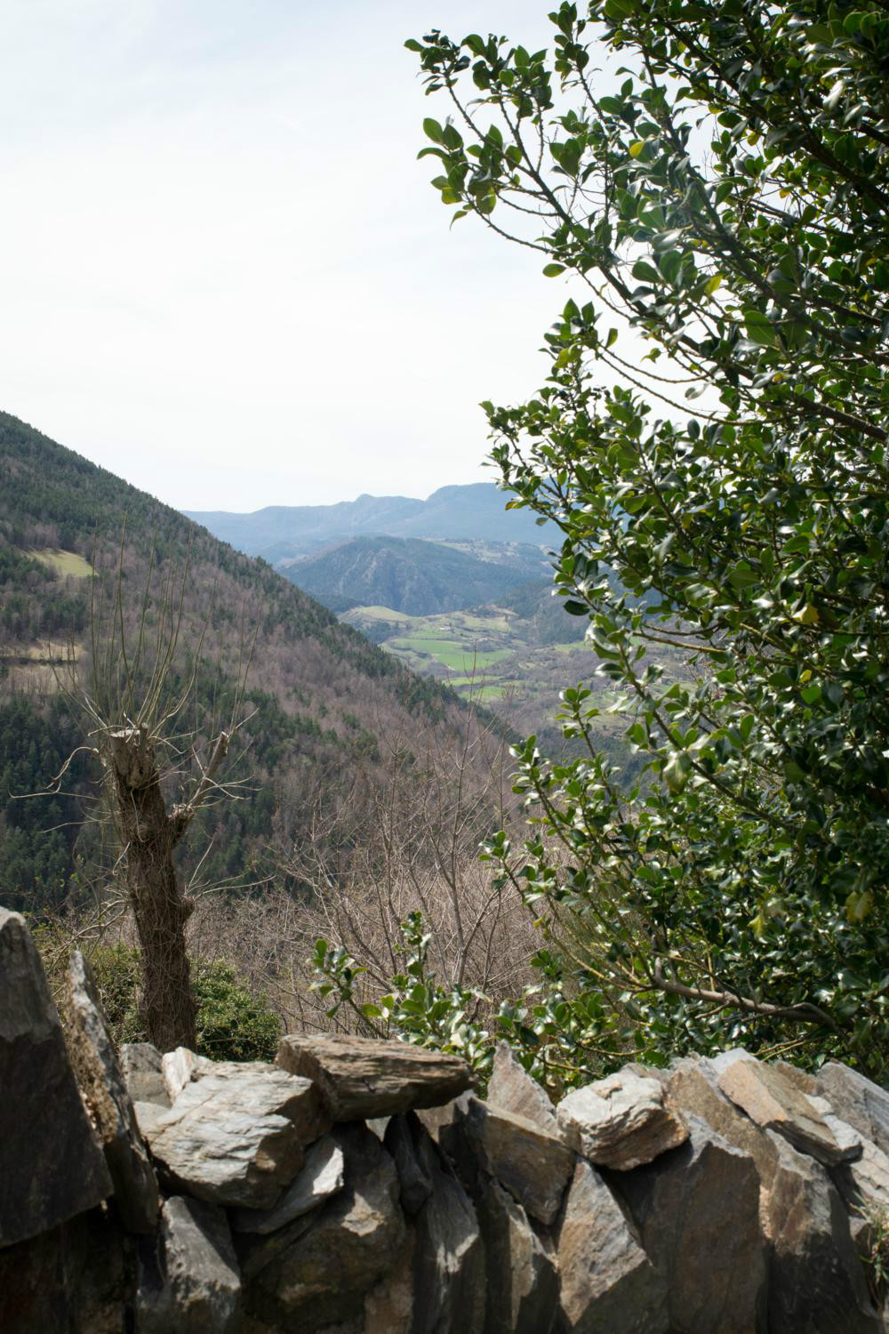 Som Rurals - SR-406 | Ripollès