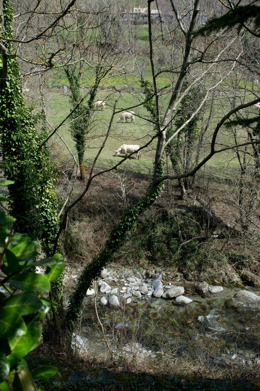 Som Rurals - SR-406 | Ripollès