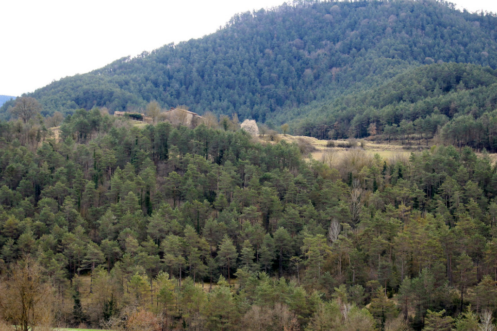Som Rurals - SR - 408 | Osona