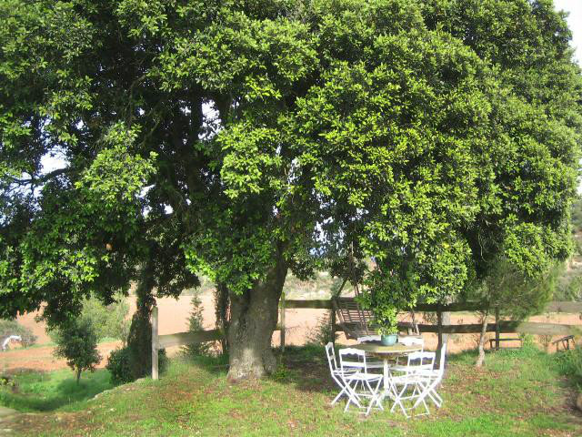 Som Rurals - SR-415 | Anoia