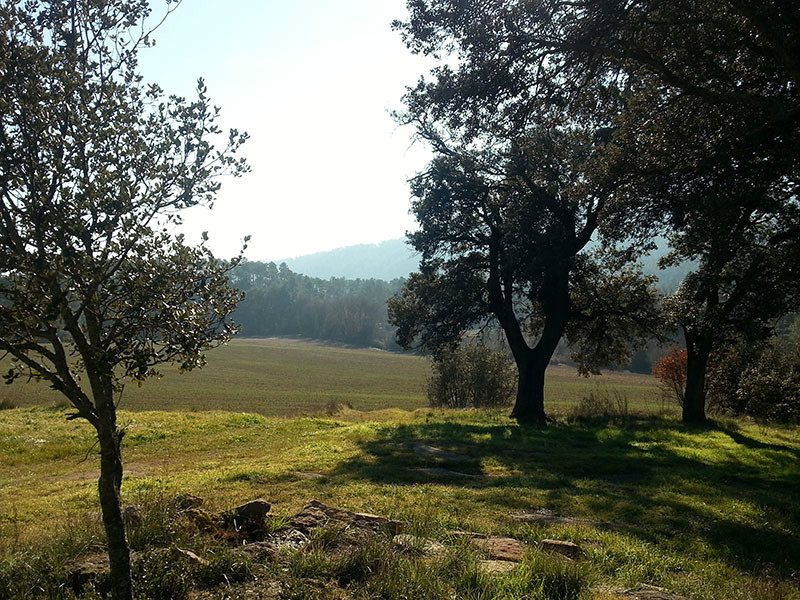 Som Rurals - SR-435 | Berguedà