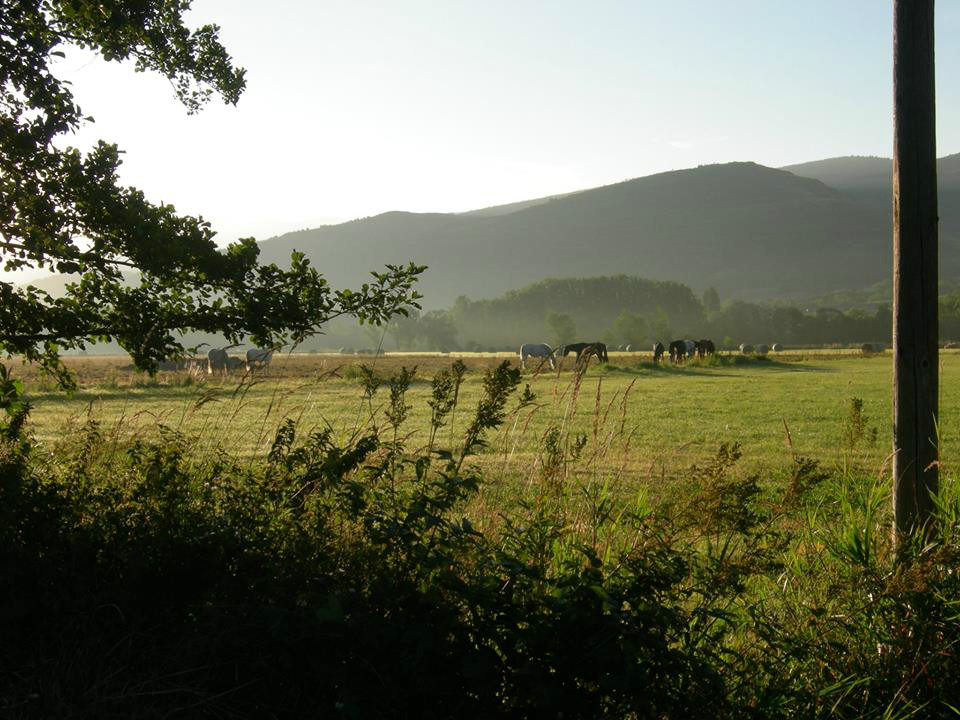 Som Rurals - SR - 444 | Cerdanya