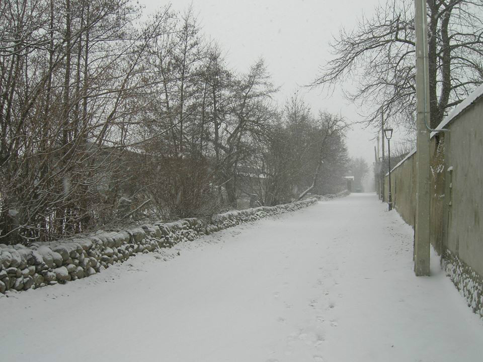 Som Rurals - SR - 444 | Cerdanya