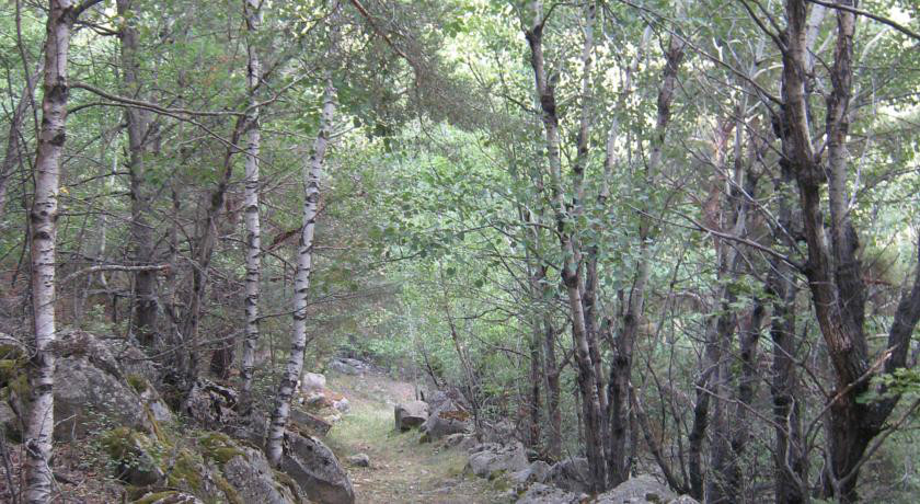 Som Rurals - SR - 448 | Cerdanya