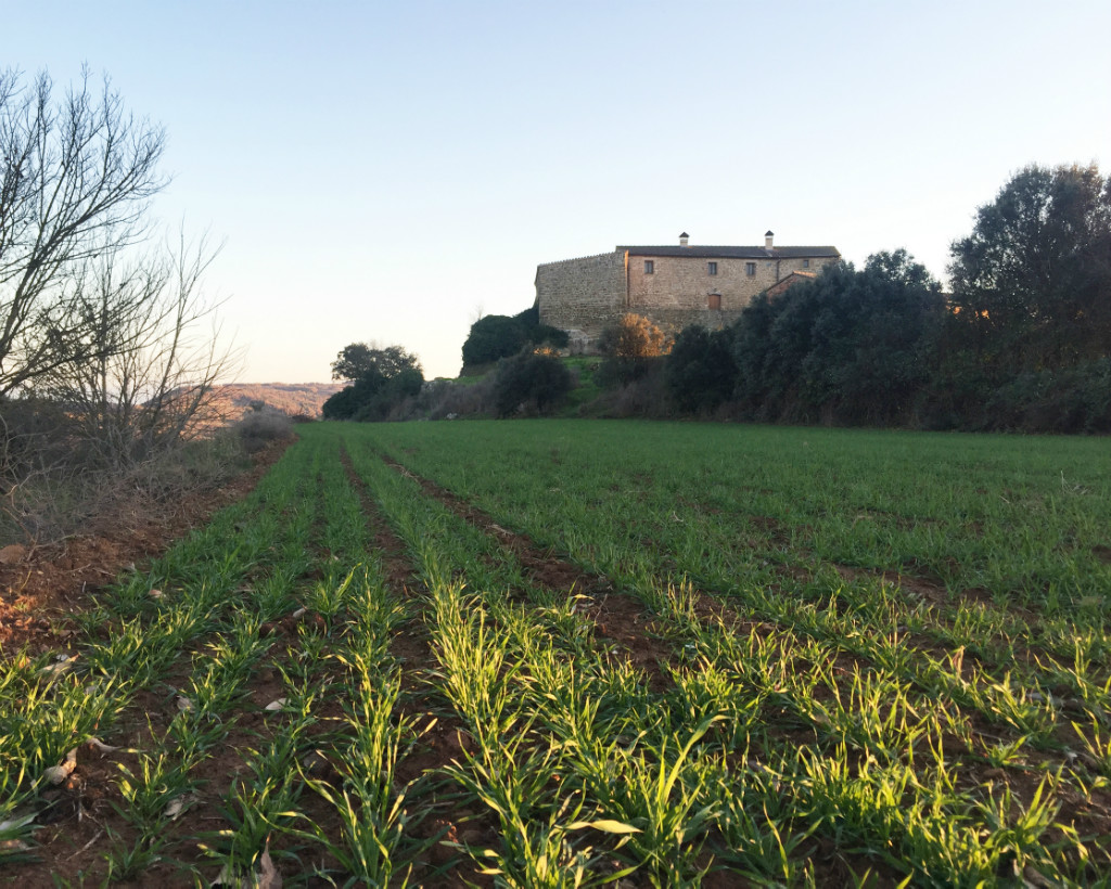 Som Rurals - SR-468 | Noguera