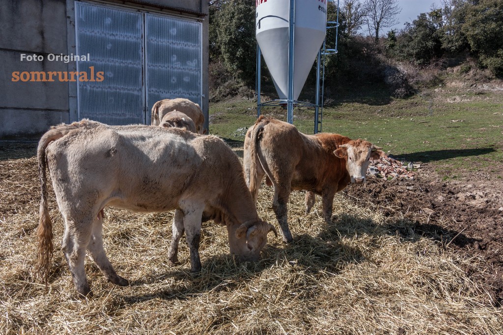 Som Rurals - SR - 475 | Garrotxa