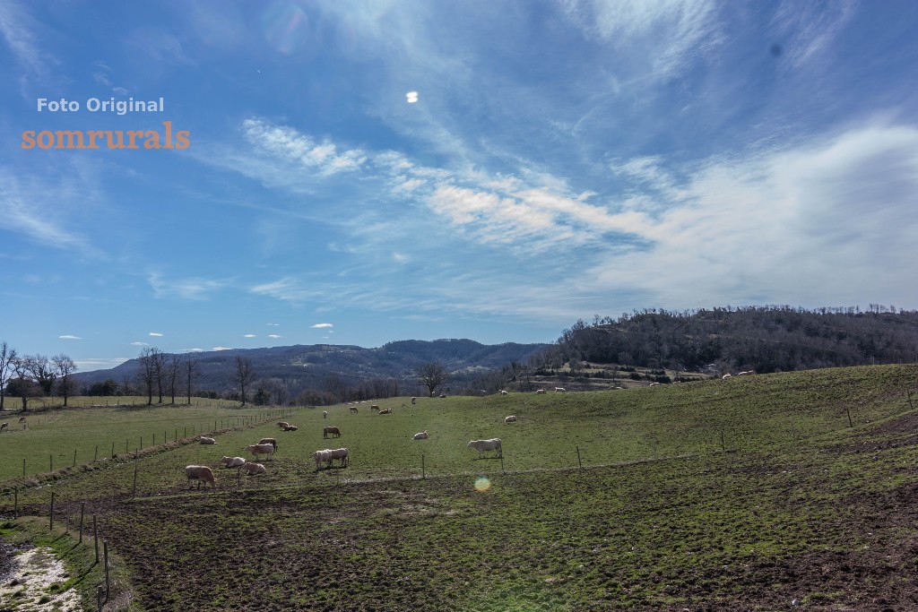Som Rurals - SR - 475 | Garrotxa