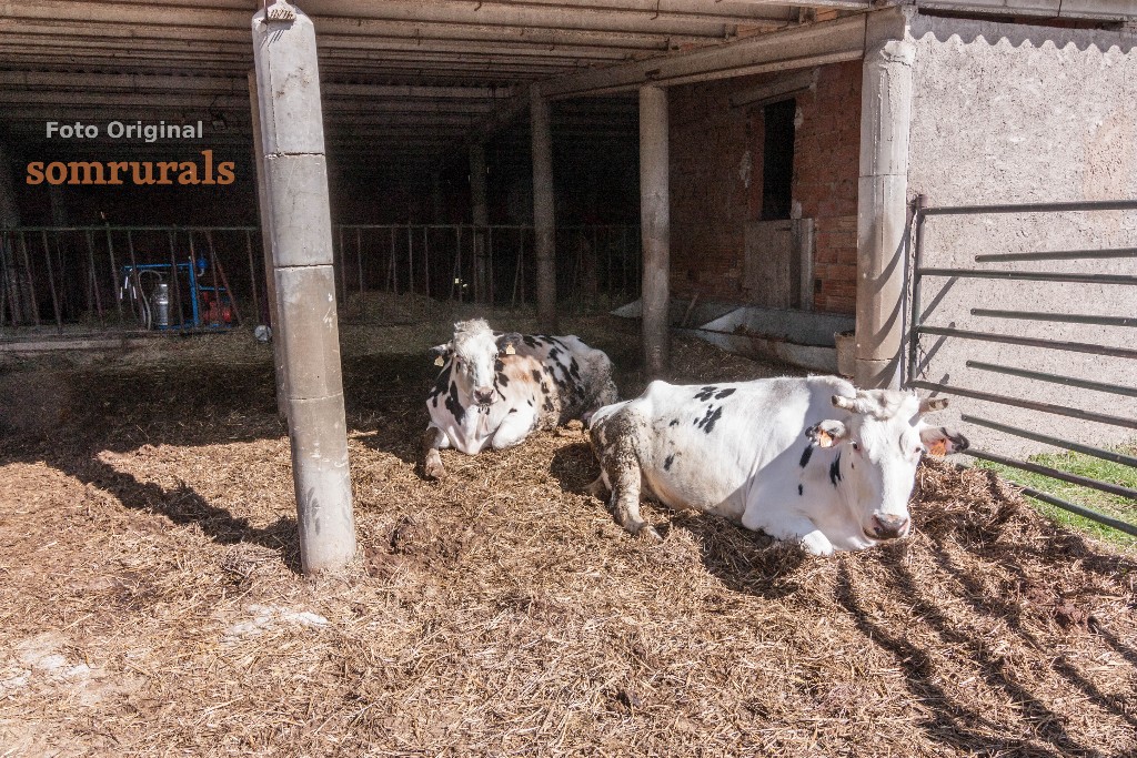 Som Rurals - SR - 475 | Garrotxa