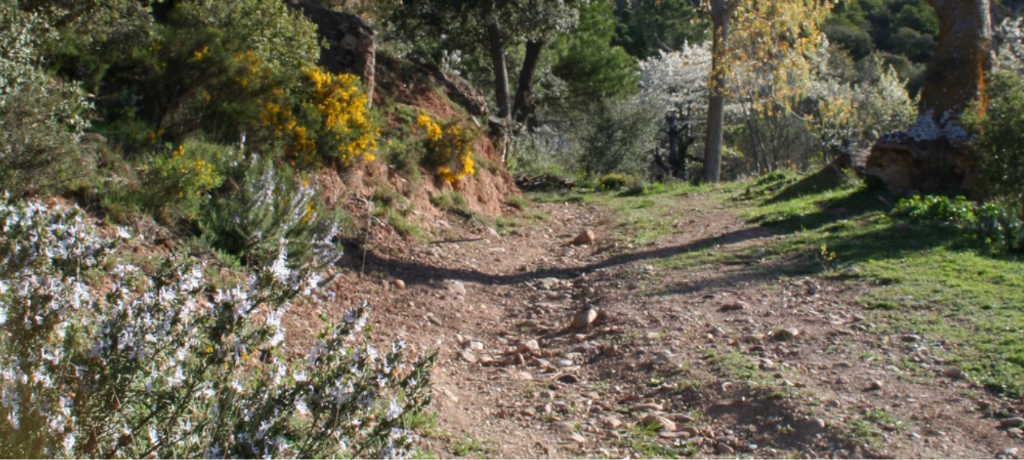 Som Rurals - SR - 489 | Pallars Jussà