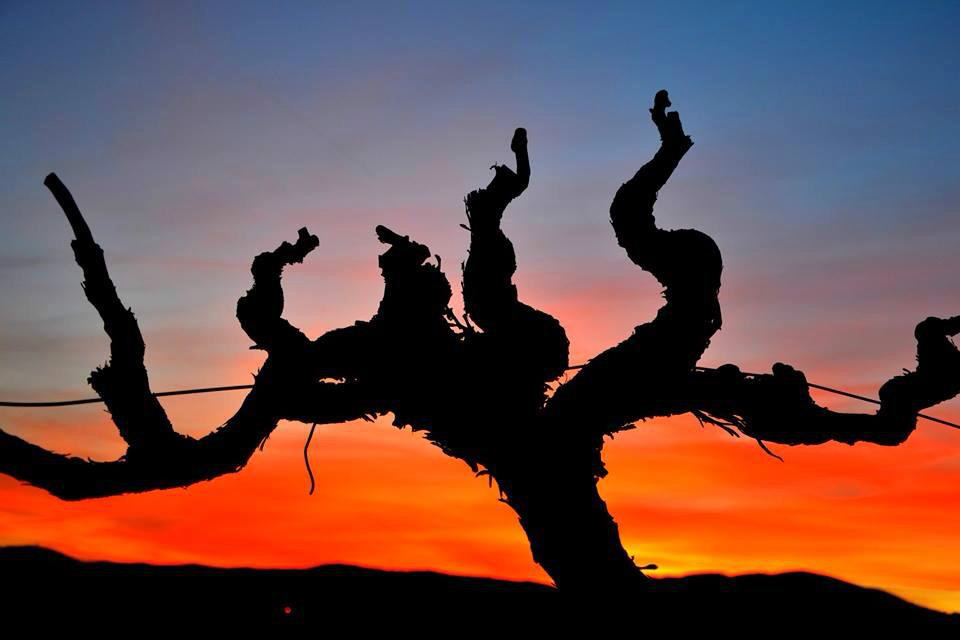 Som Rurals - SR - 514 | Alt Penedès