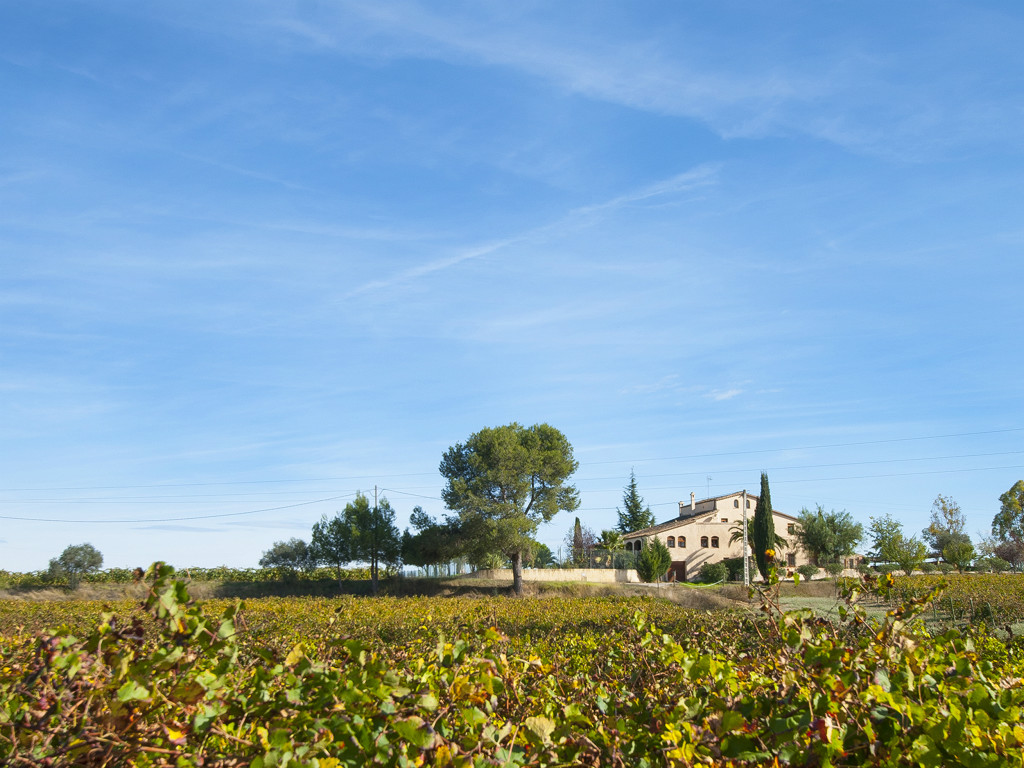 Som Rurals - SR - 514 | Alt Penedès