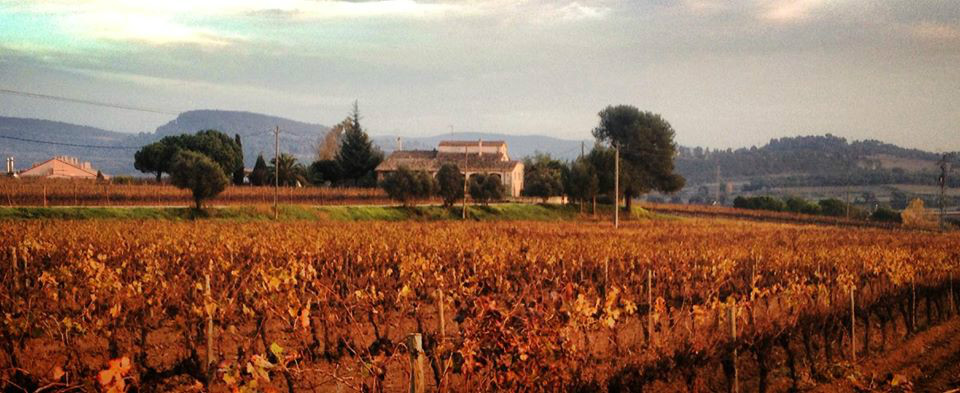 Som Rurals - SR - 514 | Alt Penedès
